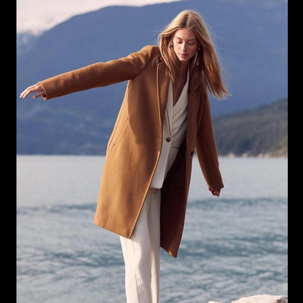 Aritzia Babaton Stedman Wool Coat